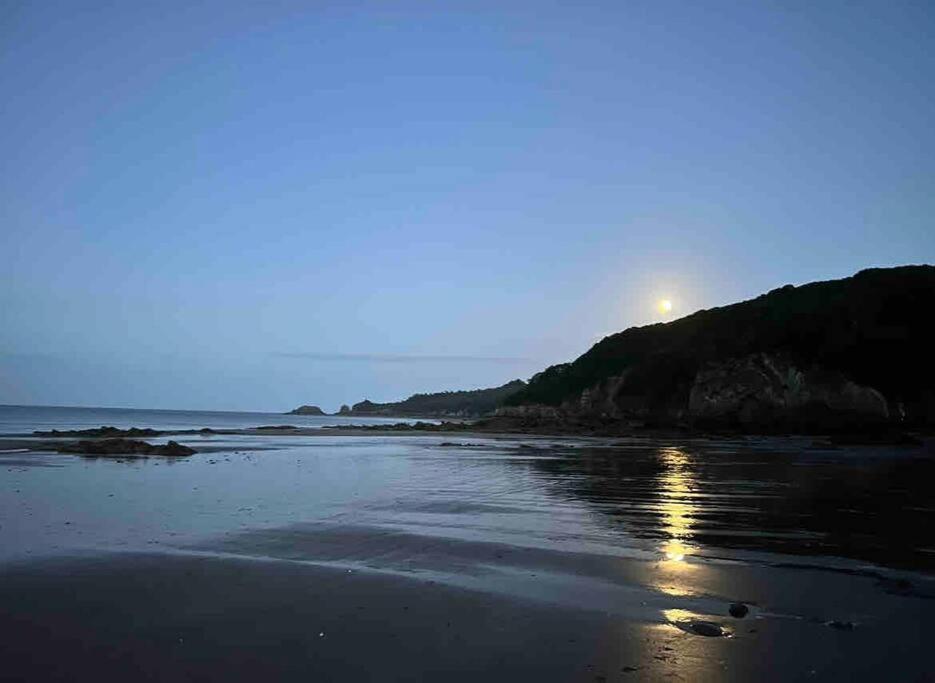 Rhodewood House Saundersfoot Διαμέρισμα Εξωτερικό φωτογραφία